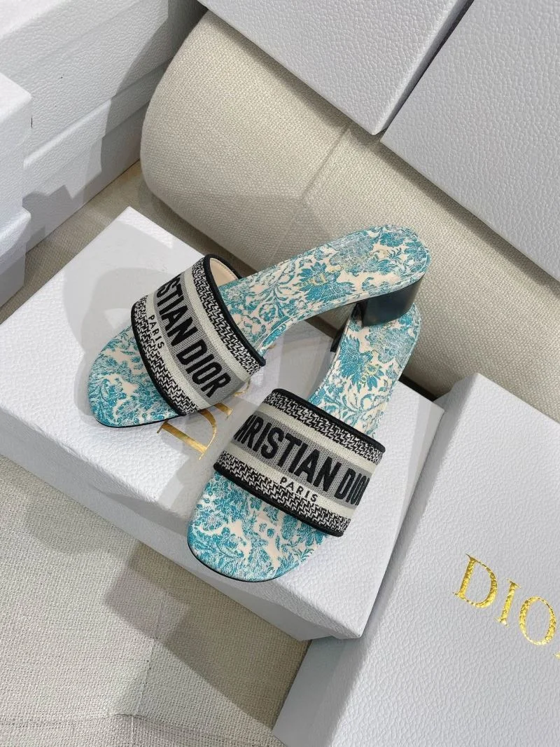 AllSeason Christian Dior Slippers 21873
