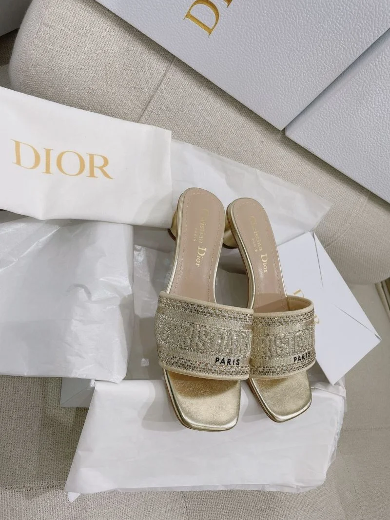 Christian Dior Slippers WaterResistant 21851