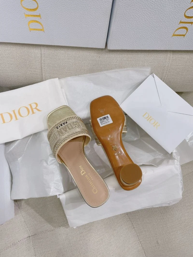 Christian Dior Slippers WaterResistant 21851