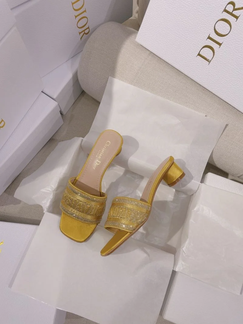 EasyCare Christian Dior Slippers 21835