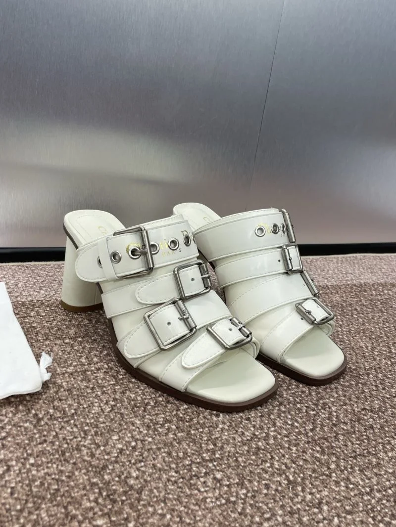 Christian Dior Slippers Trendy 21810