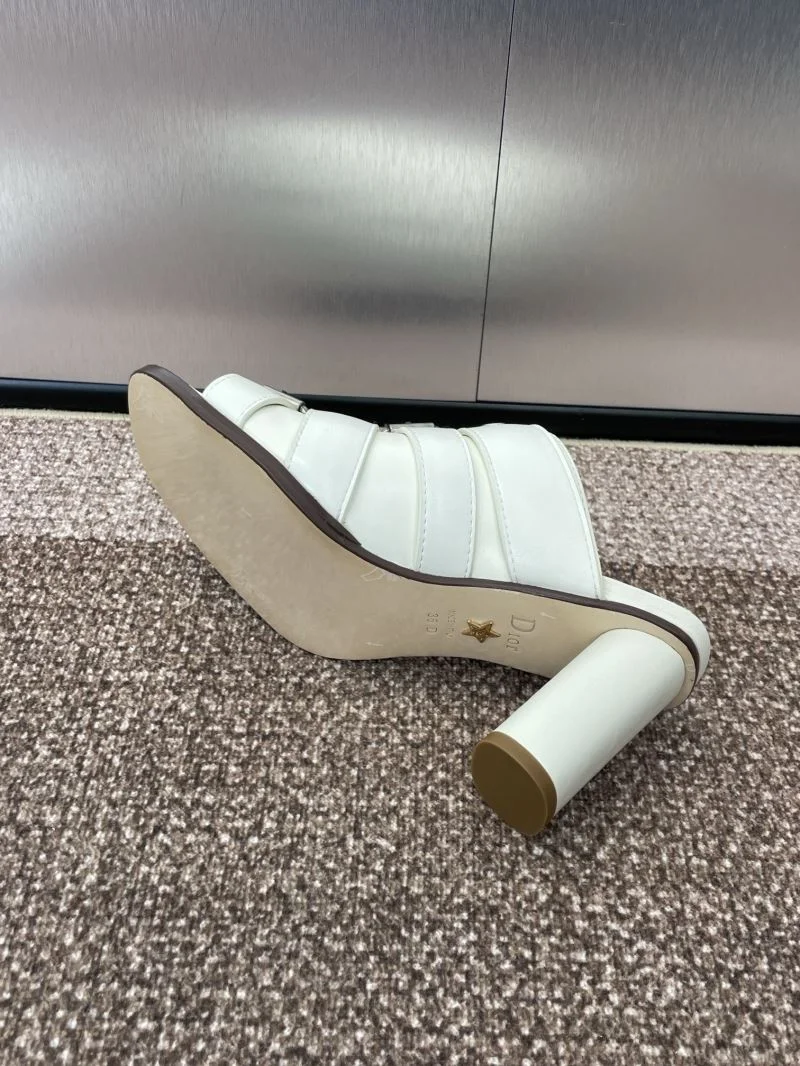 Christian Dior Slippers Trendy 21810