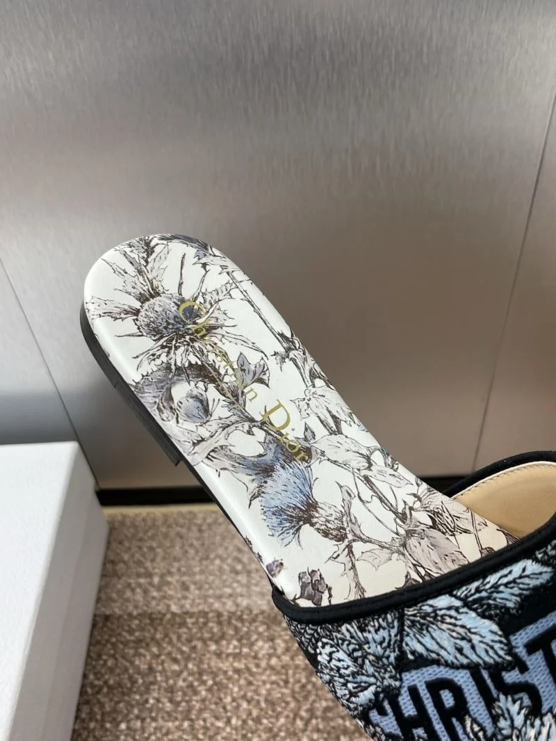 DailyWear Christian Dior Slippers 21785