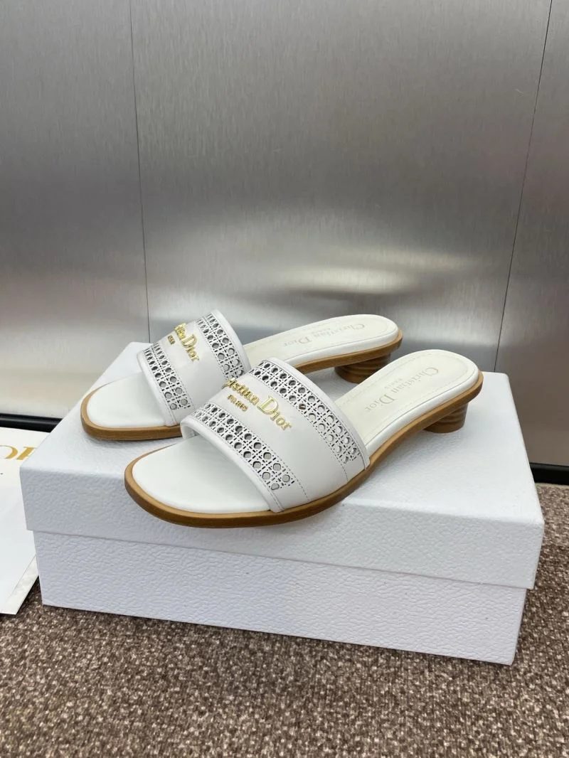 Christian Dior Slippers HighQuality 21789