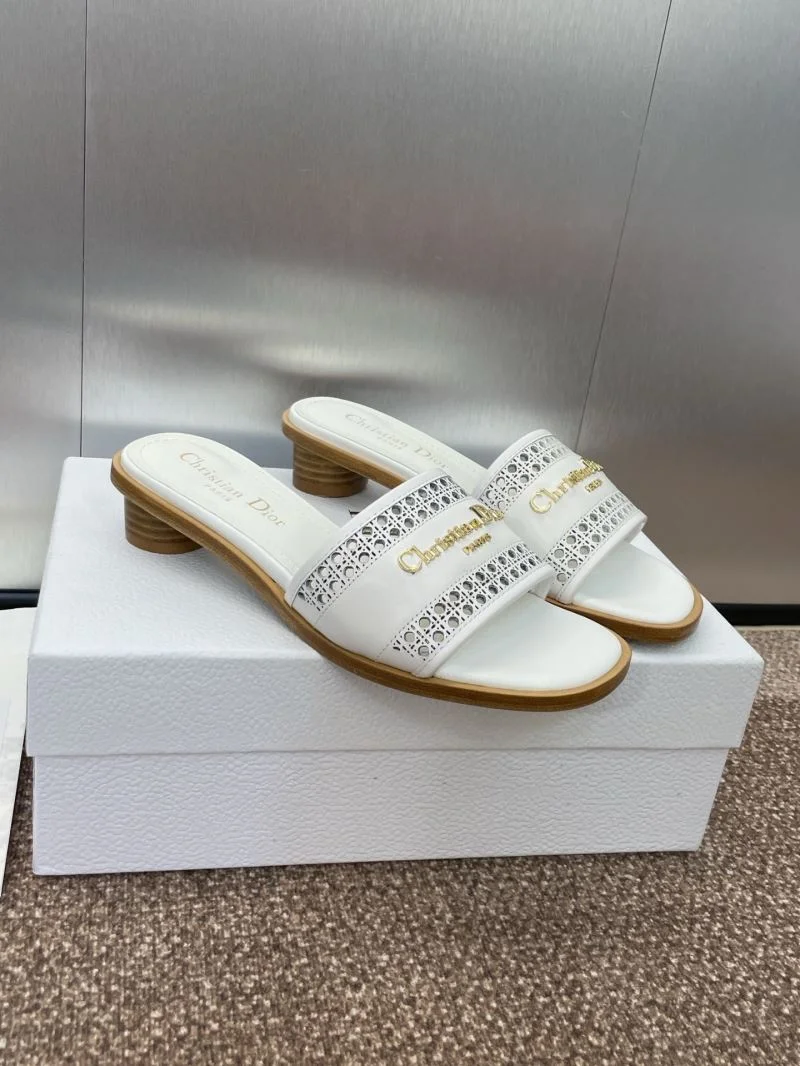 Christian Dior Slippers HighQuality 21789