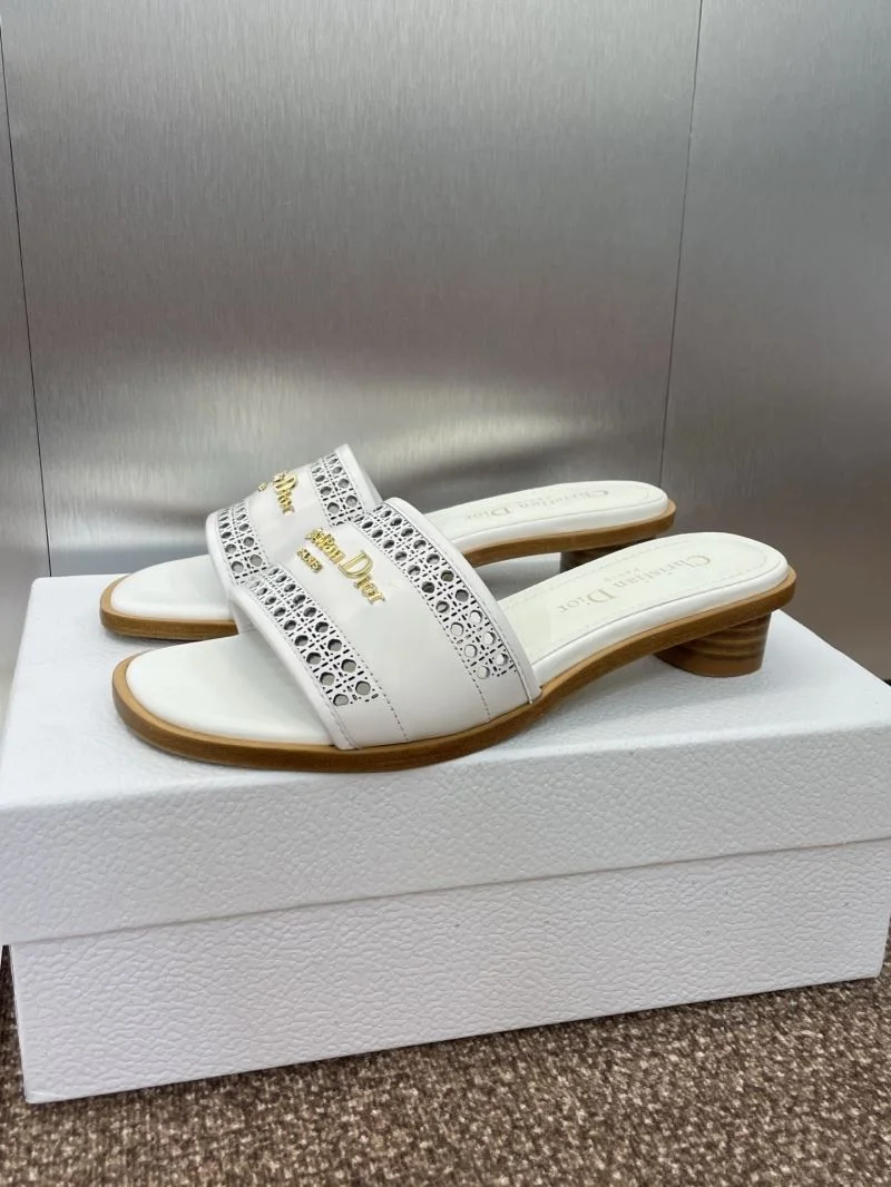 Christian Dior Slippers HighQuality 21789