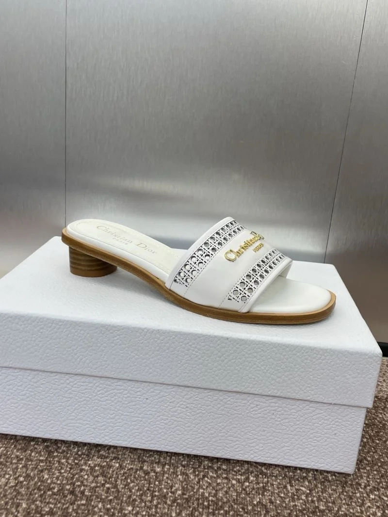 Christian Dior Slippers HighQuality 21789