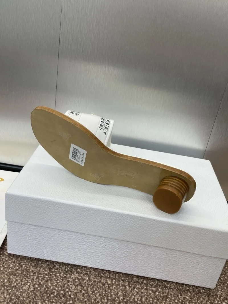 Christian Dior Slippers HighQuality 21789