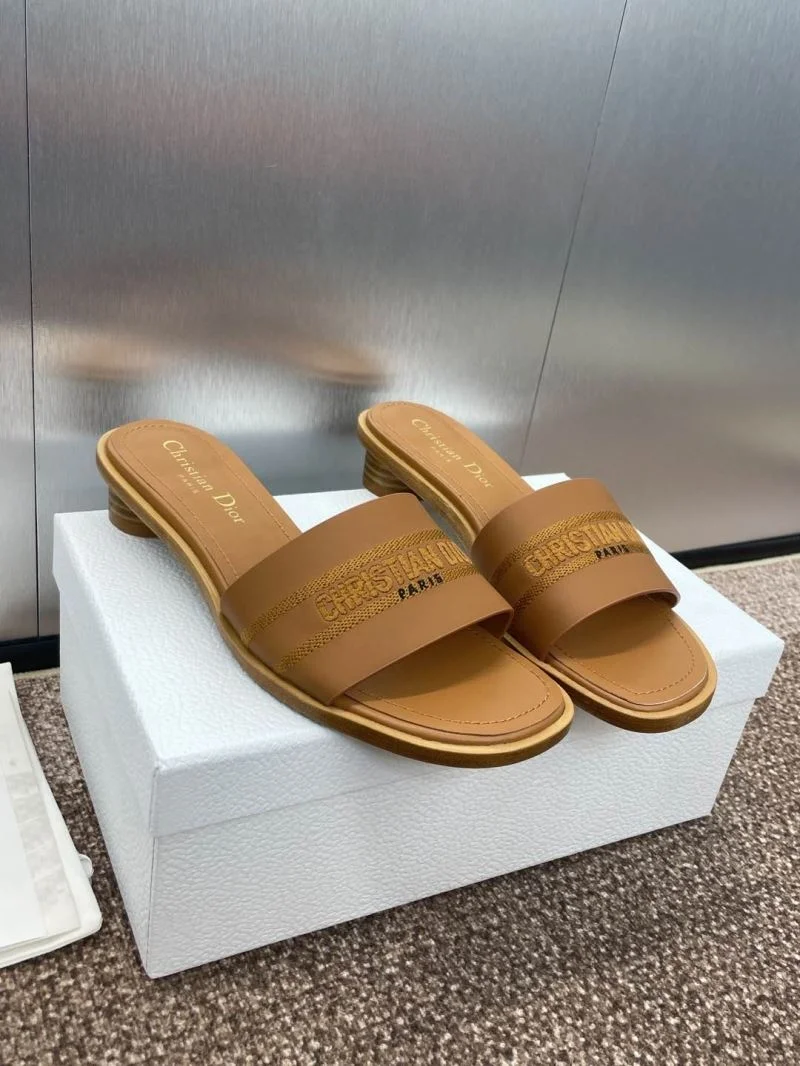 TechFriendly Christian Dior Slippers 21788