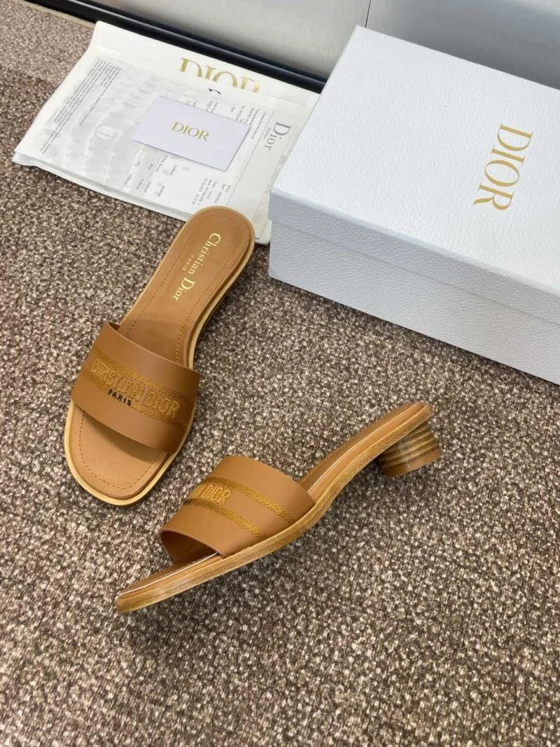 TechFriendly Christian Dior Slippers 21788
