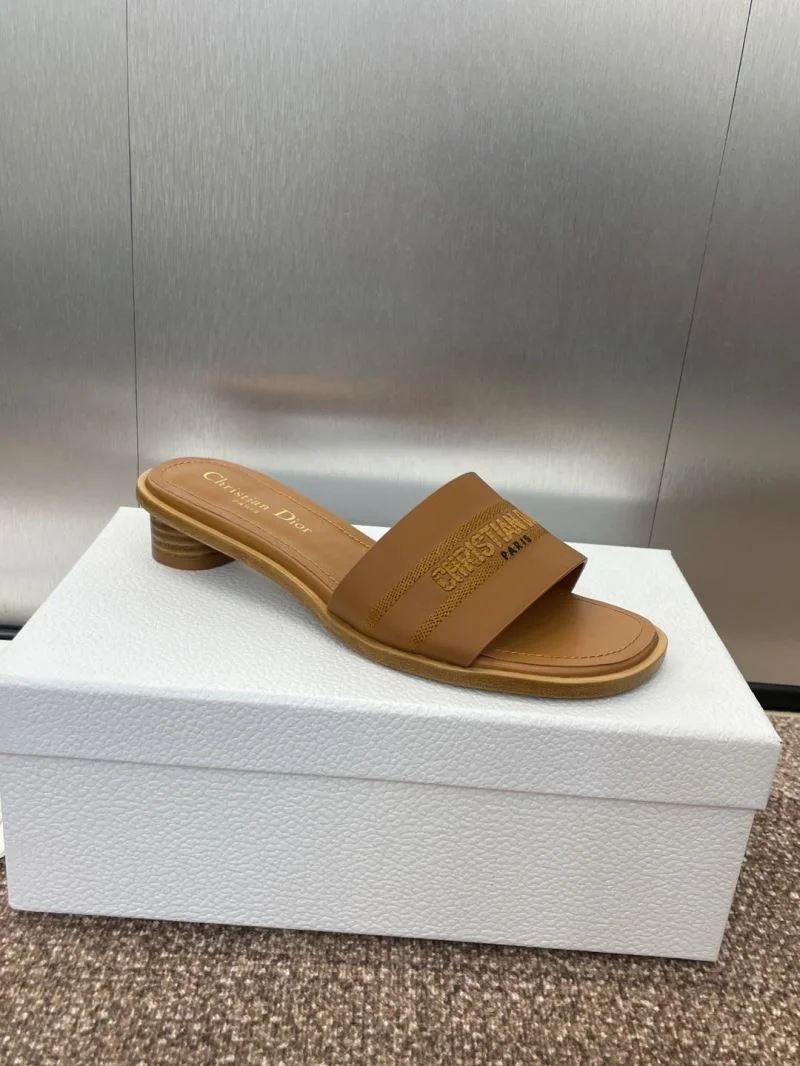 TechFriendly Christian Dior Slippers 21788