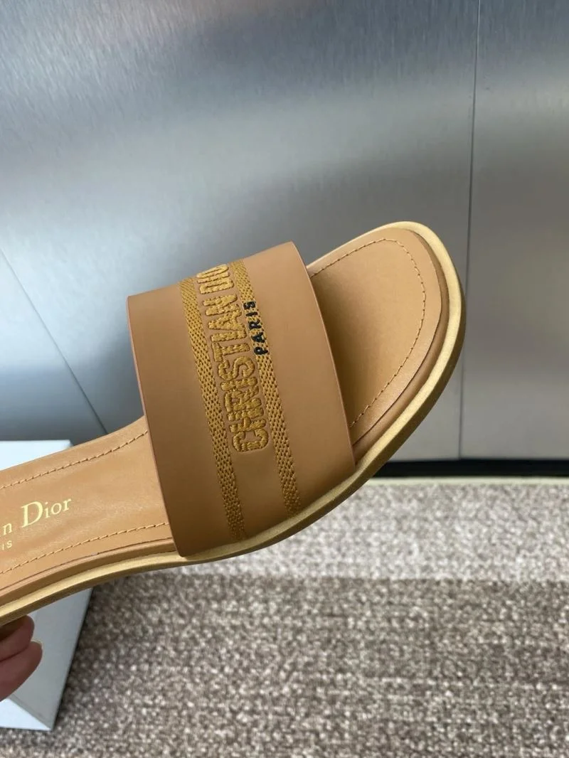 TechFriendly Christian Dior Slippers 21788