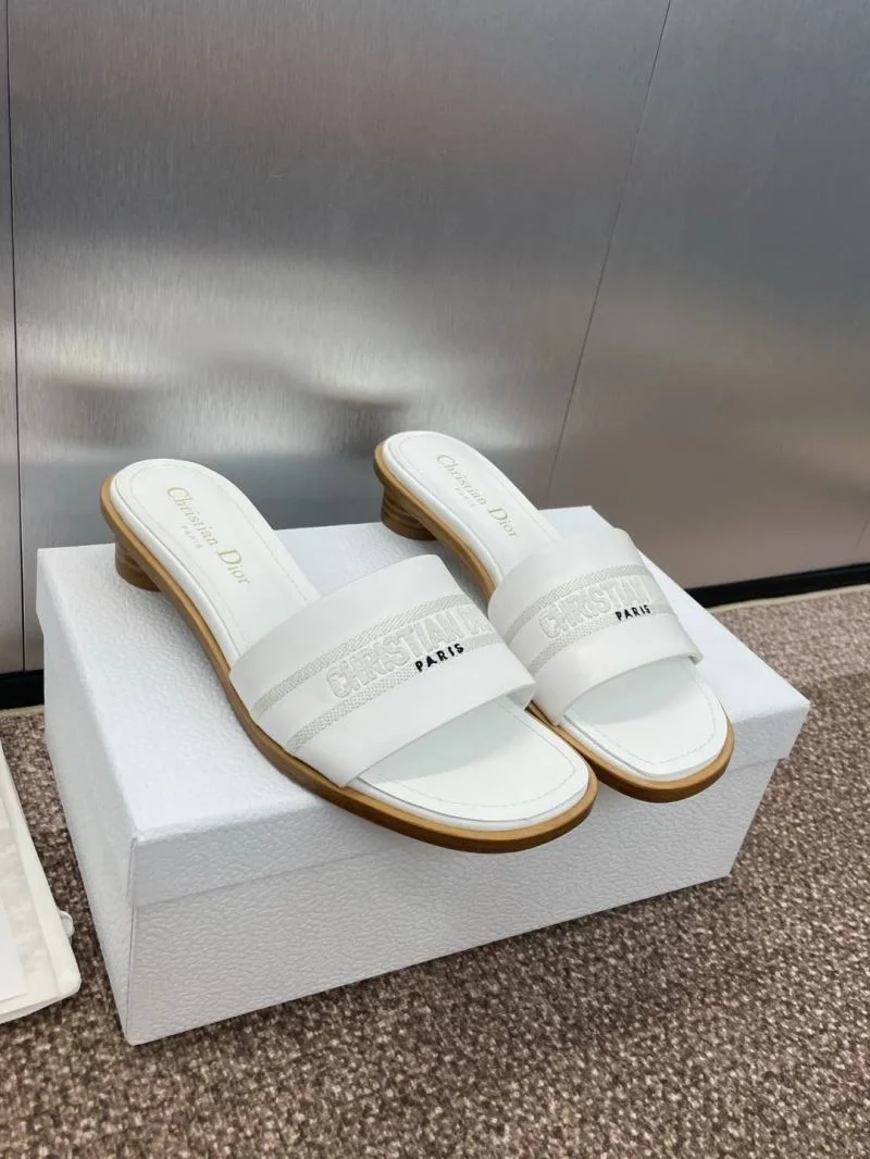 SmoothTexture Christian Dior Slippers 21778