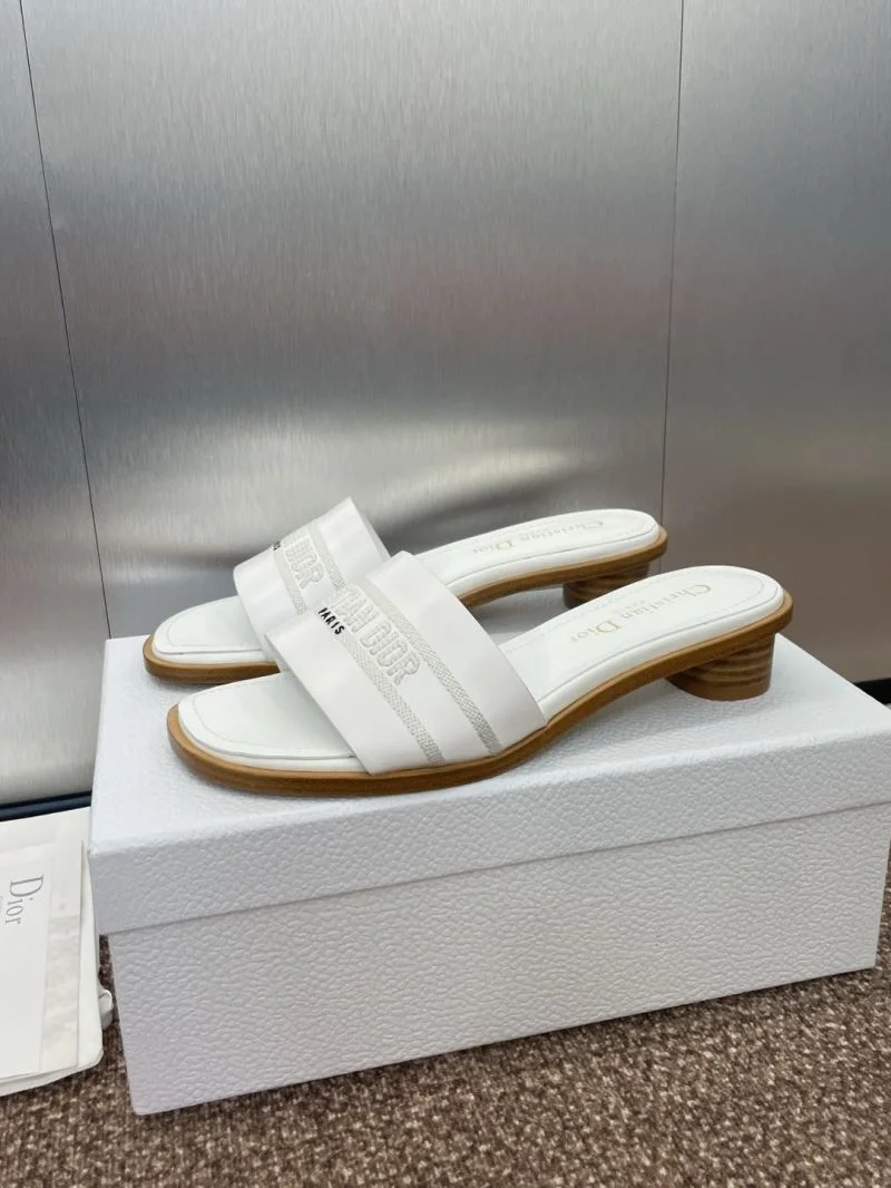 SmoothTexture Christian Dior Slippers 21778