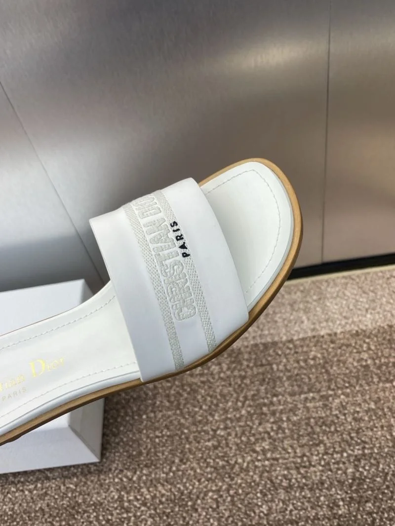 SmoothTexture Christian Dior Slippers 21778
