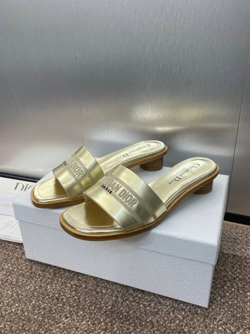 Christian Dior Slippers Popular 21773