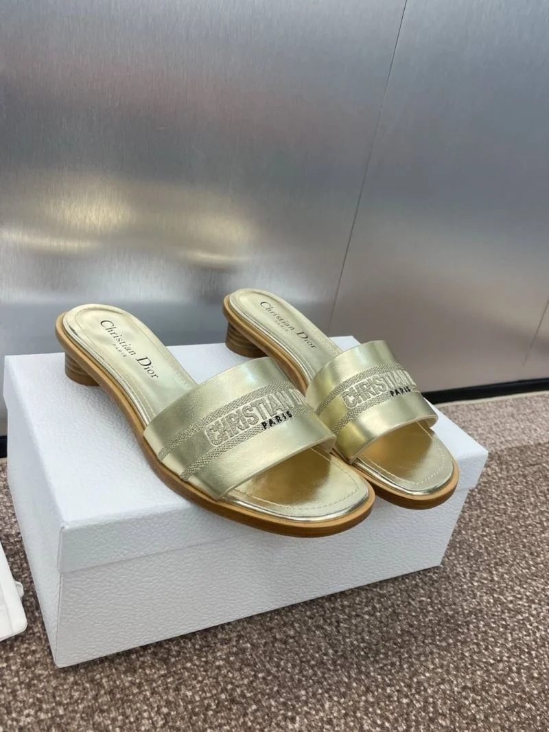 Christian Dior Slippers Popular 21773