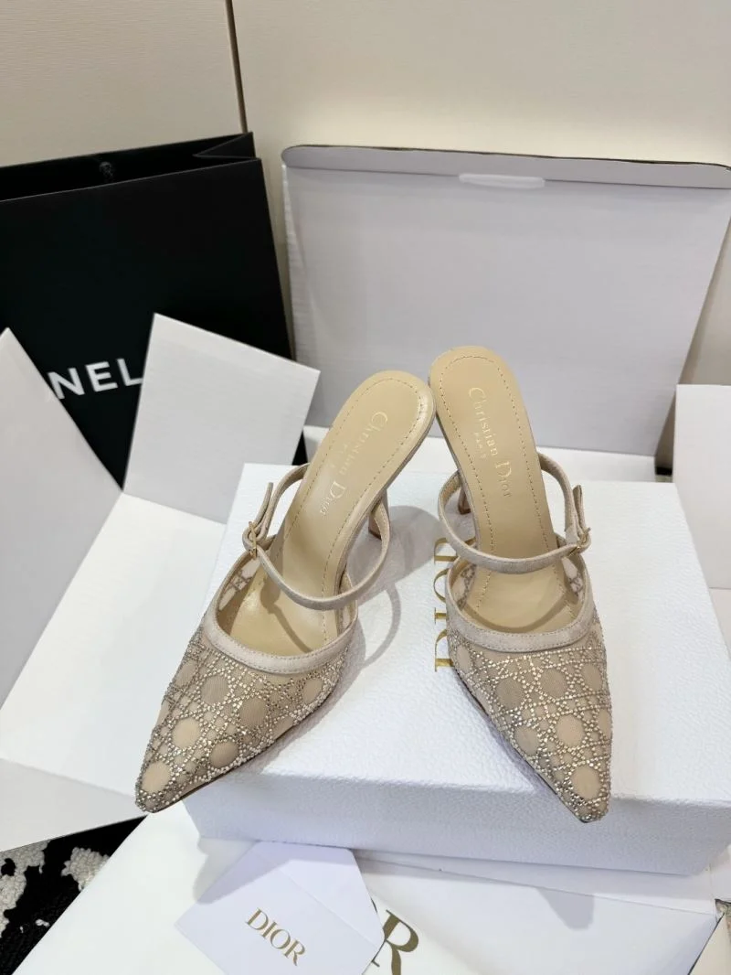 ZeroBulk Christian Dior Slippers 21720