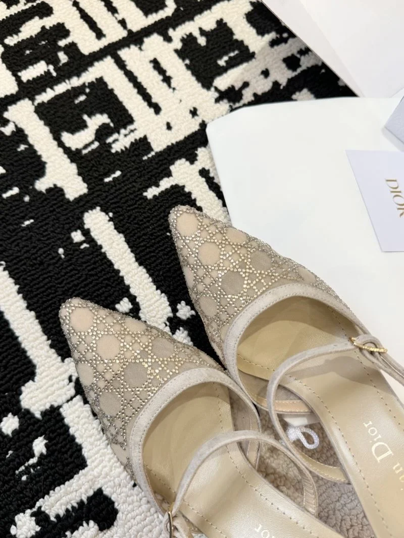 ZeroBulk Christian Dior Slippers 21720