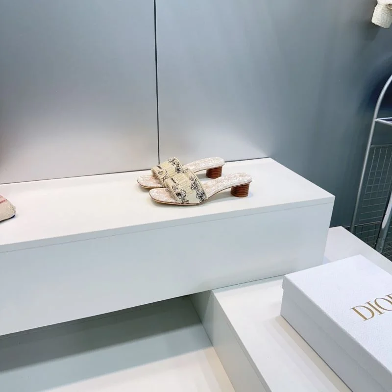 Christian Dior Slippers Popular 21411