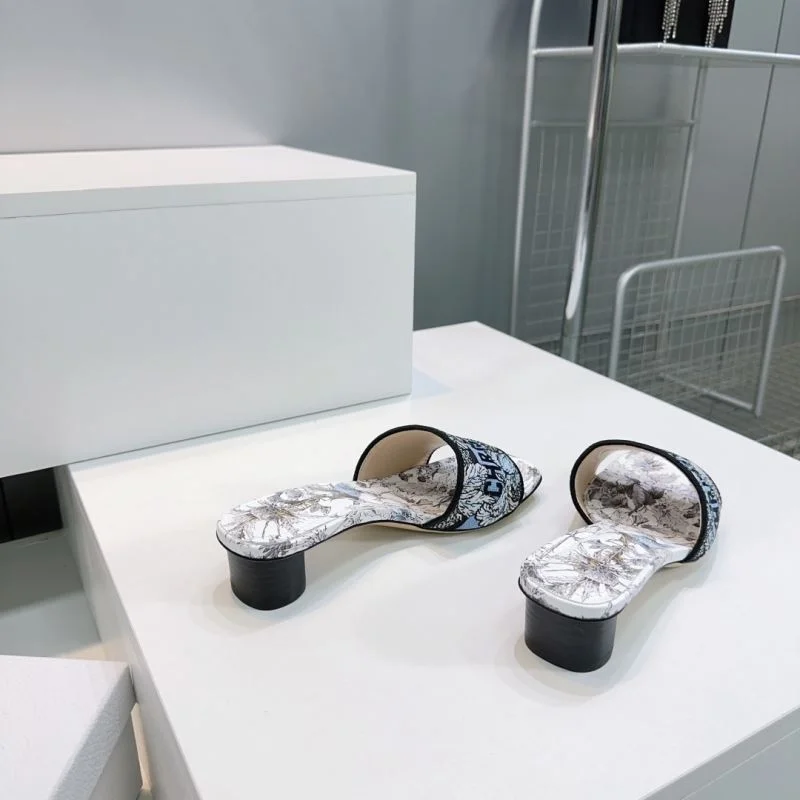 Christian Dior Slippers AllSeason 21403