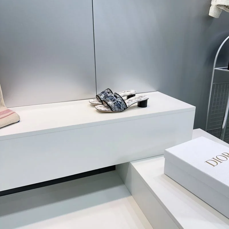 Christian Dior Slippers AllSeason 21403