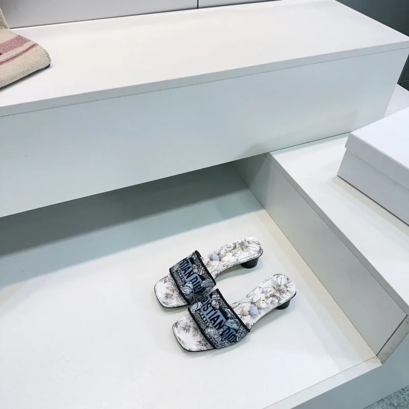 Christian Dior Slippers AllSeason 21403