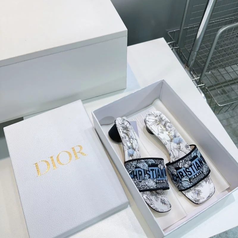 Christian Dior Slippers AllSeason 21403