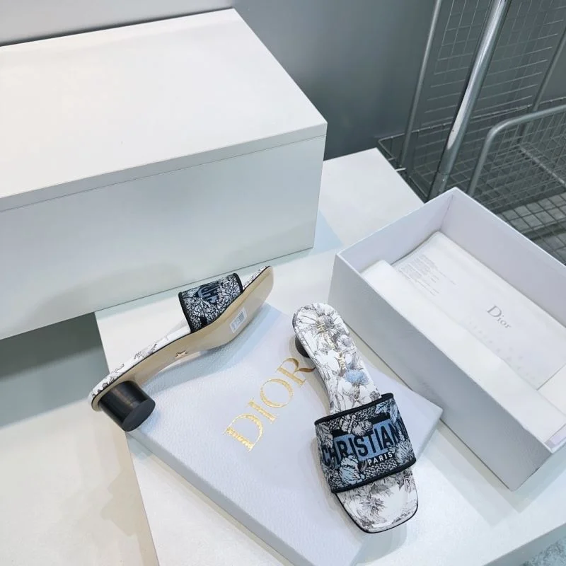 Christian Dior Slippers AllSeason 21403