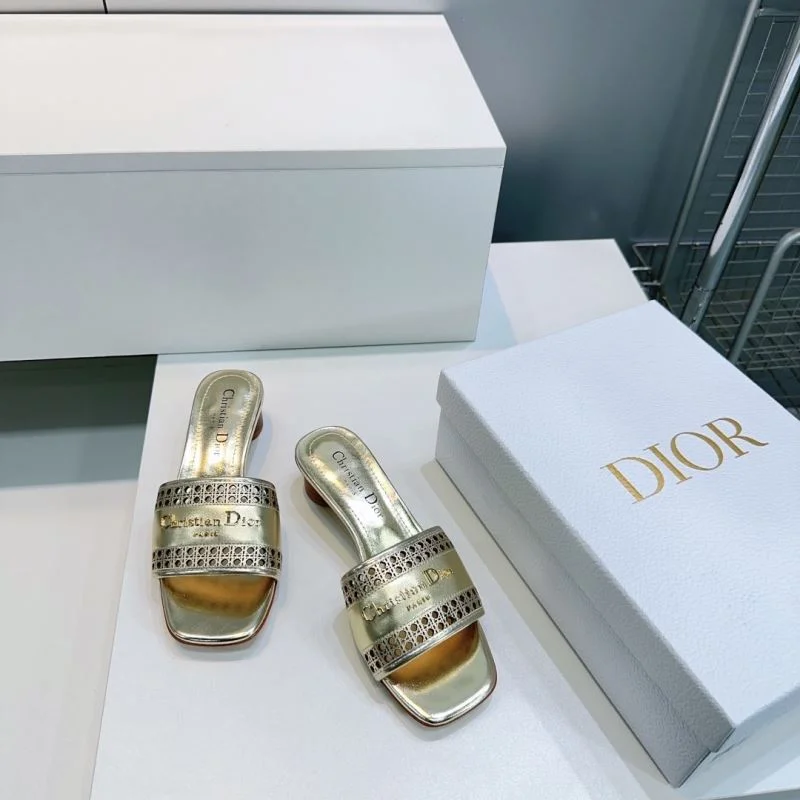 Christian Dior Slippers Colorful 21395
