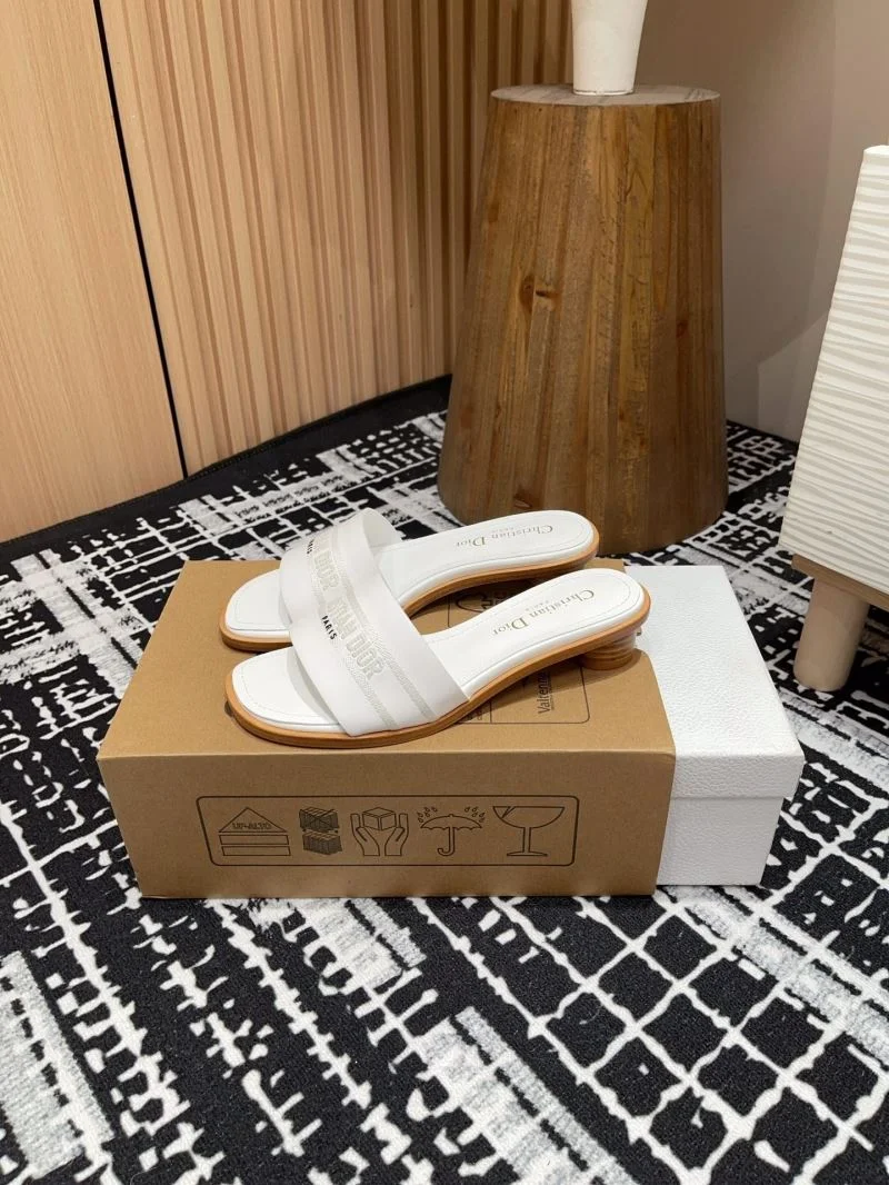 FastDry Christian Dior Slippers 21380