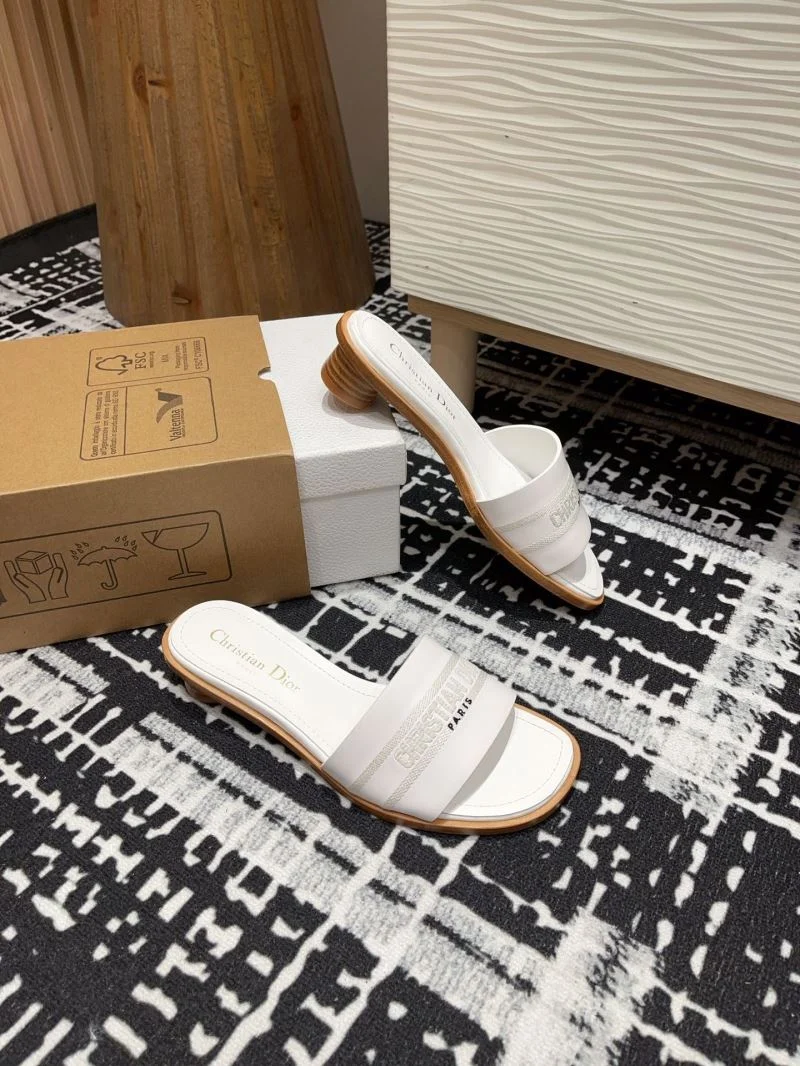 FastDry Christian Dior Slippers 21380