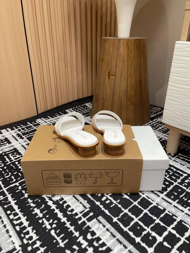 FastDry Christian Dior Slippers 21380