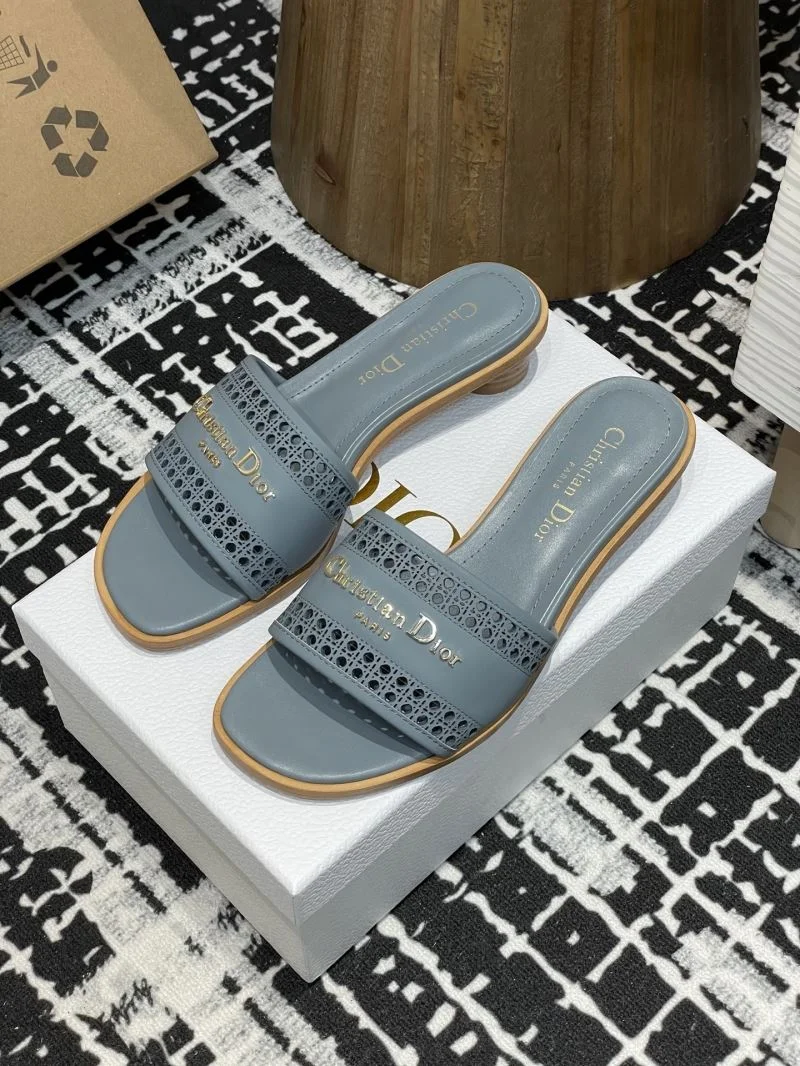 TechFriendly Christian Dior Slippers 21374