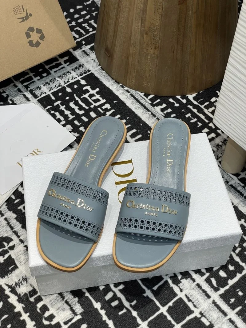 TechFriendly Christian Dior Slippers 21374