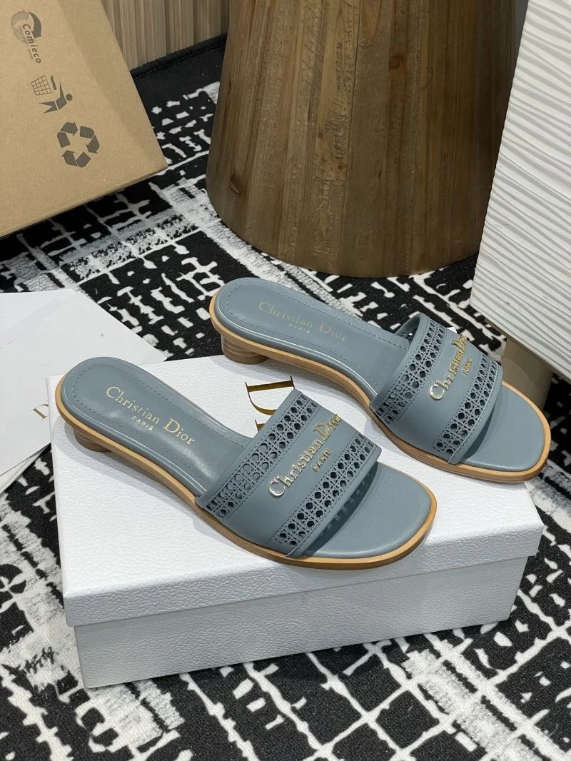 TechFriendly Christian Dior Slippers 21374