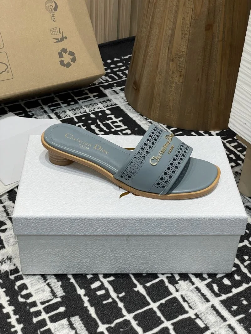 TechFriendly Christian Dior Slippers 21374