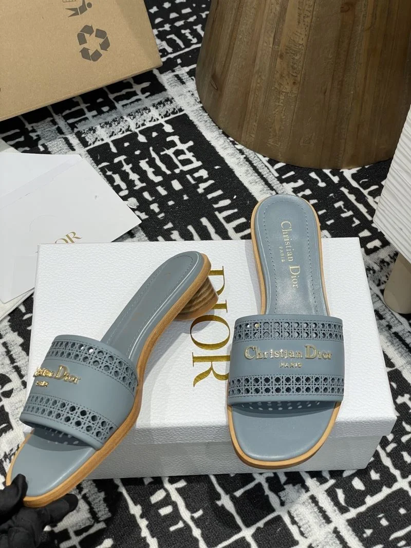 TechFriendly Christian Dior Slippers 21374
