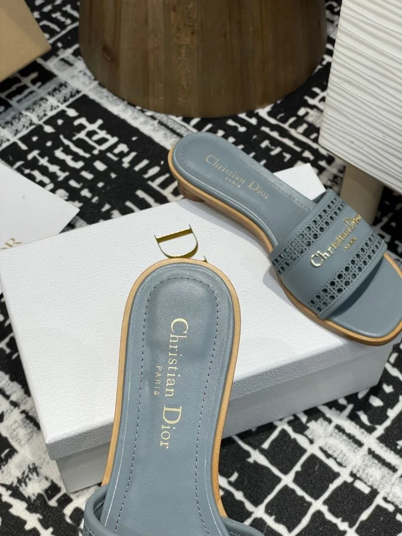 TechFriendly Christian Dior Slippers 21374