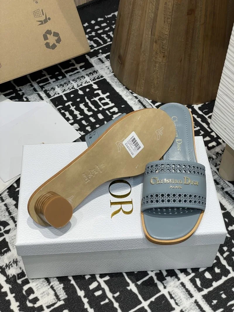 TechFriendly Christian Dior Slippers 21374