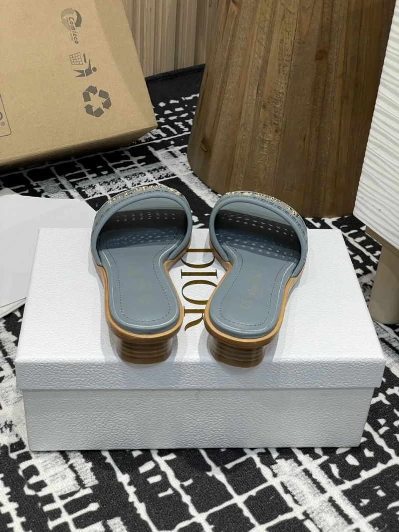 TechFriendly Christian Dior Slippers 21374