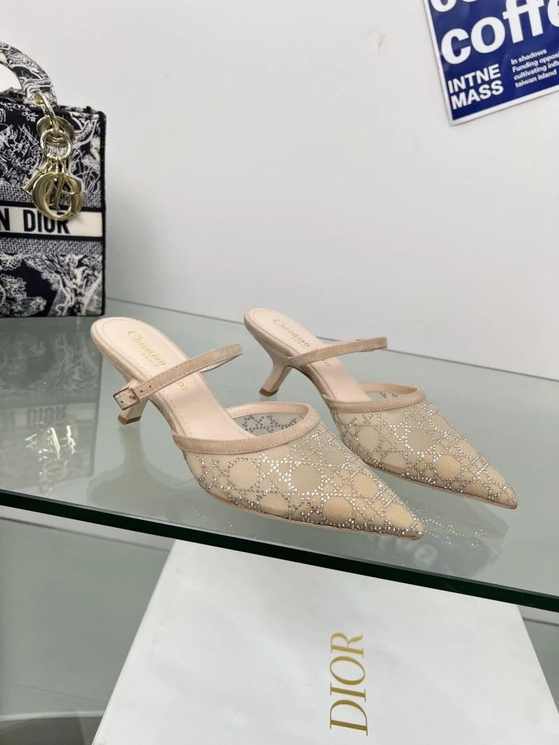 UrbanStyle Christian Dior Slippers 22520