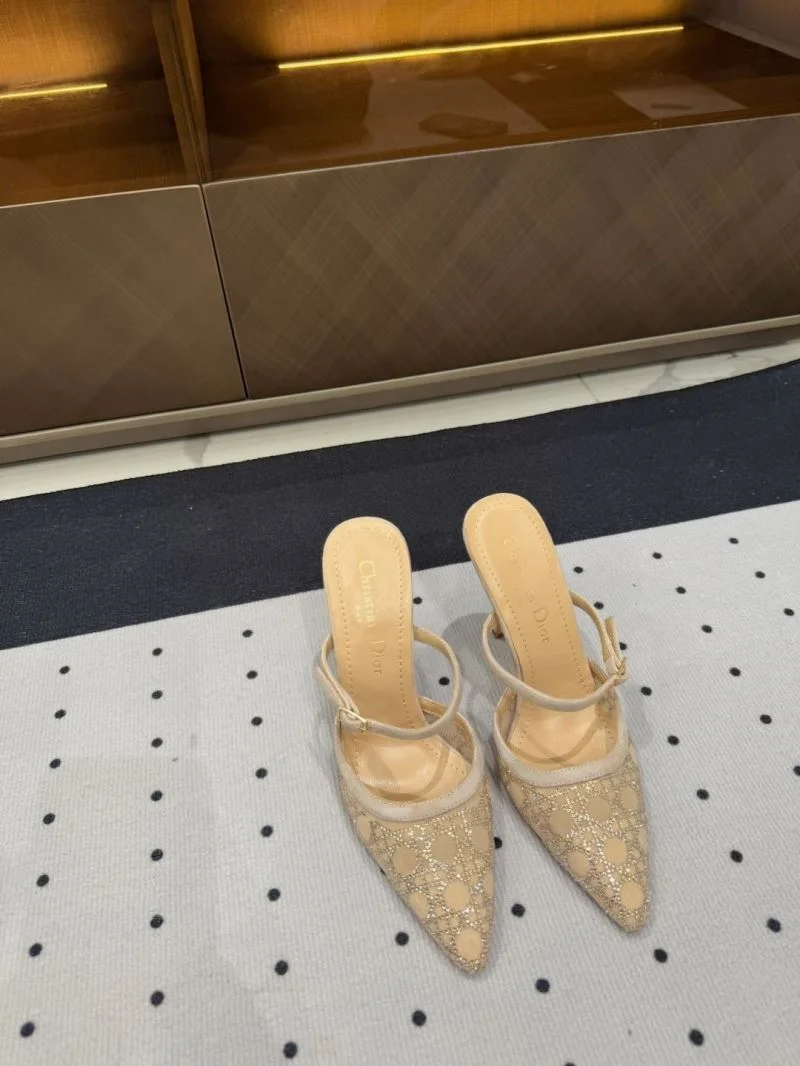 EasyCare Christian Dior Slippers 20868