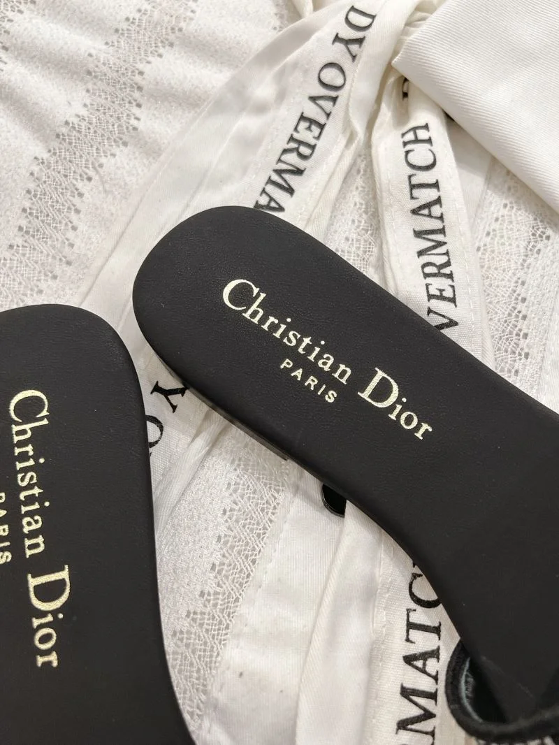 GoAnywhere Christian Dior Slippers 20846