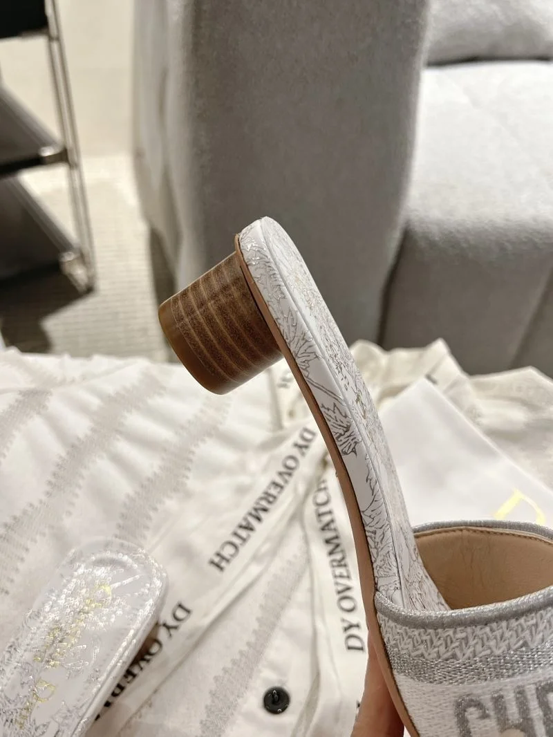 ZeroBulk Christian Dior Slippers 20851