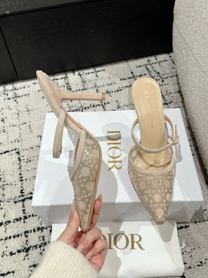 Durable Christian Dior Slippers 20802