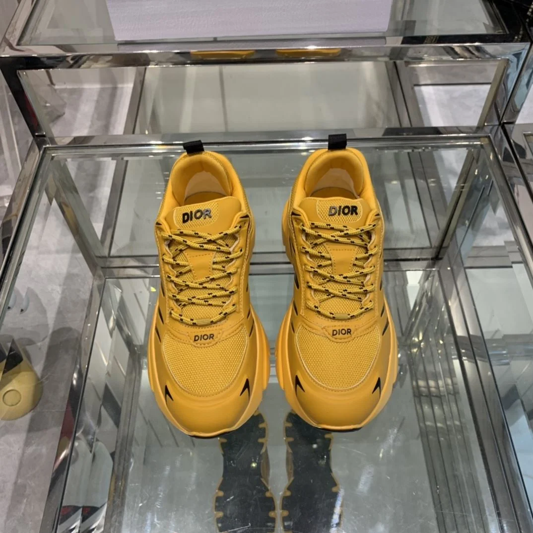 GoAnywhere Christian Dior Sneaker 21094