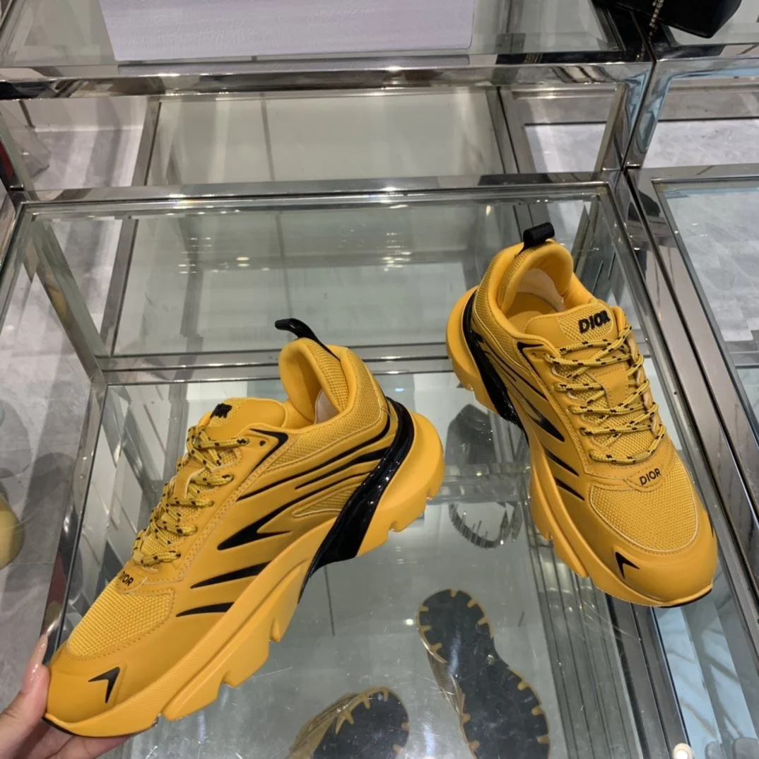 GoAnywhere Christian Dior Sneaker 21094