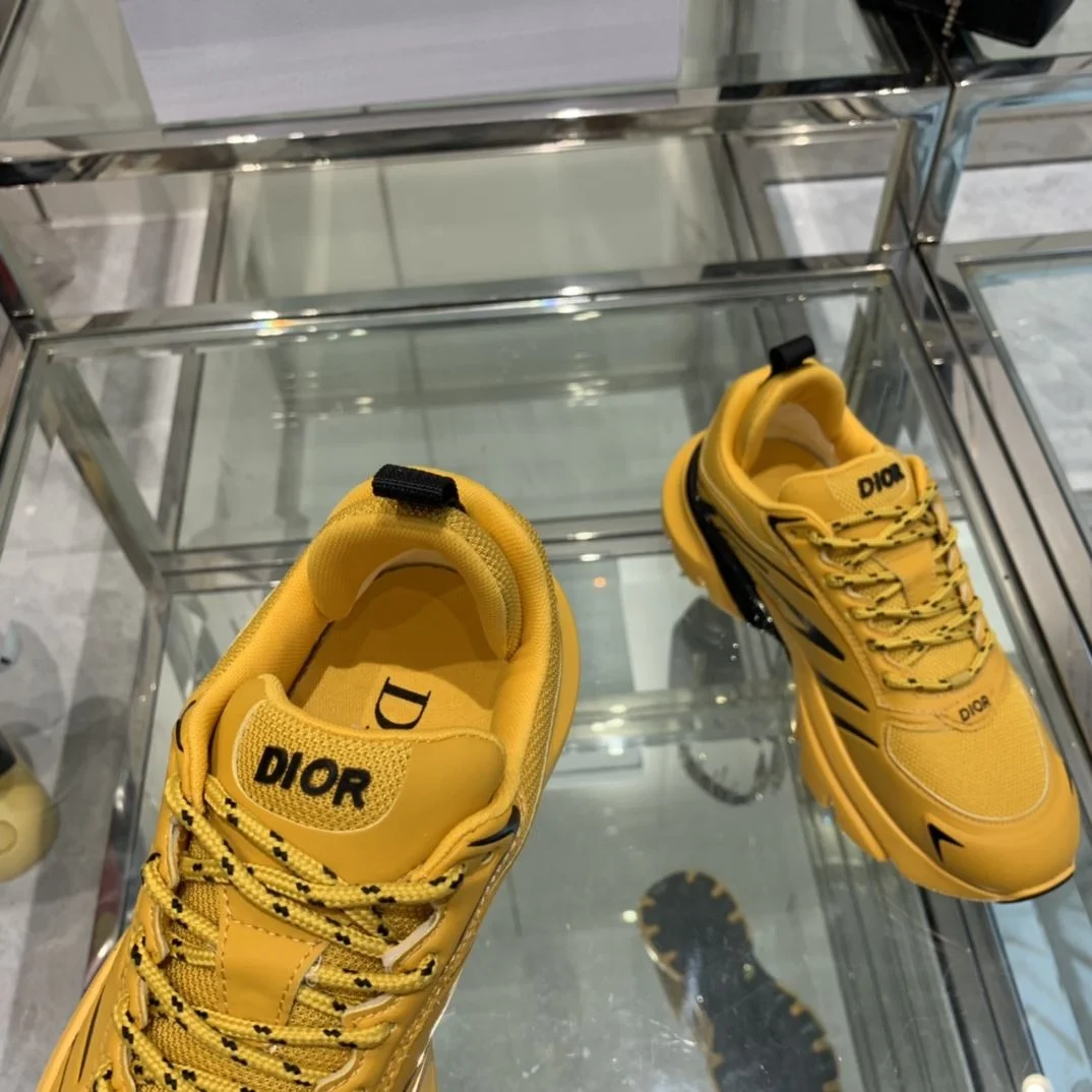 GoAnywhere Christian Dior Sneaker 21094