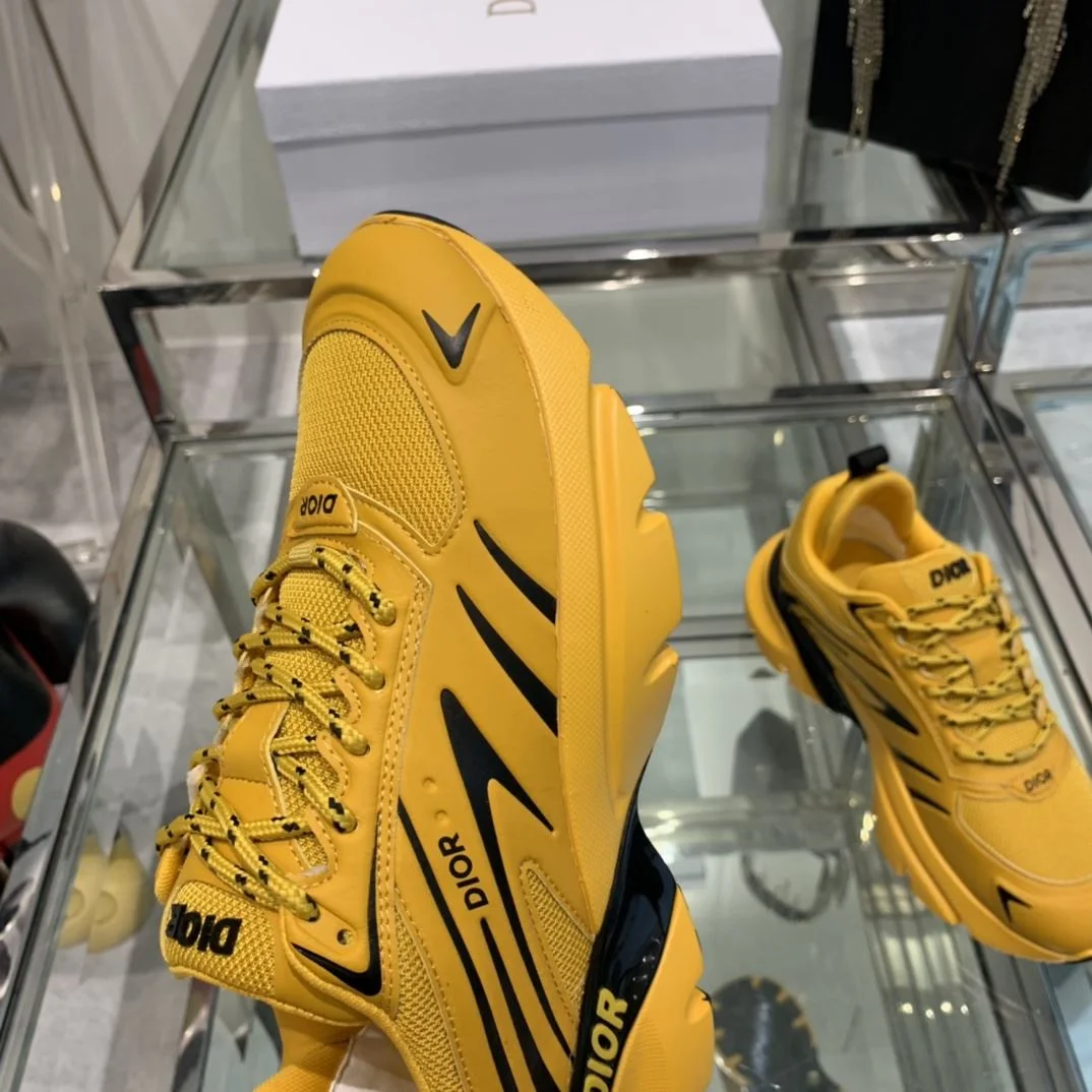 GoAnywhere Christian Dior Sneaker 21094